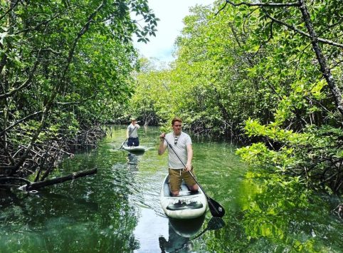 Eco tourism development projects
